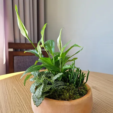 Mieszkanie Suchanino Danzica